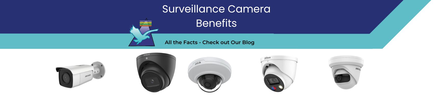 The Benefits of Surveillance Cameras