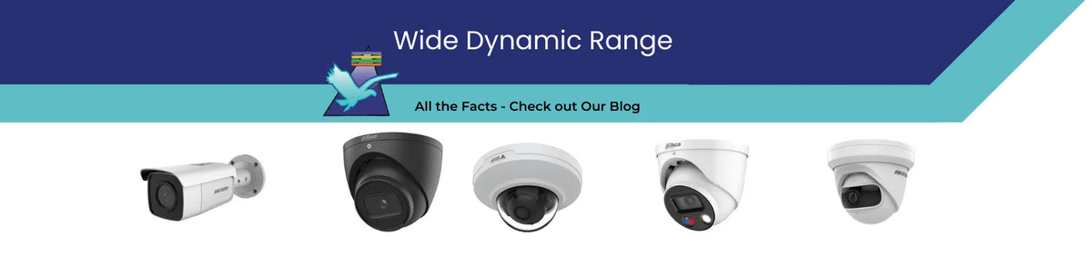 What is Wide Dynamic Range in Surveillance Cameras?