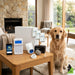 Bosch Solution 3000 Alarm System with 3 x Gen 2 Tritech Detectors+ Icon Code pad+ IP Module