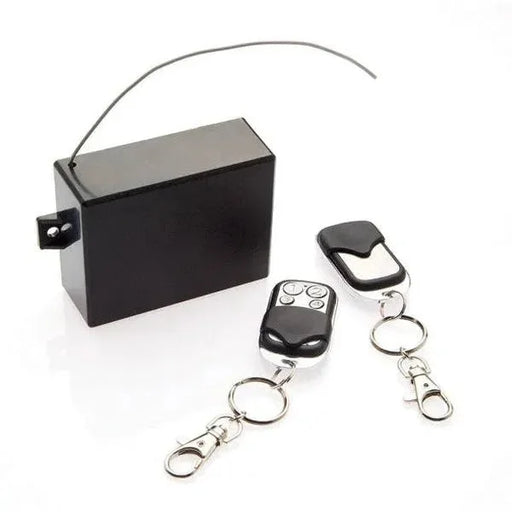 Standalone Wireless Receiver 4 Channel with 2 x 4 Button Remotes, HCR-15
